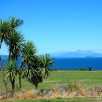 Lake Taupo auf der Nordinsel Neuseelands