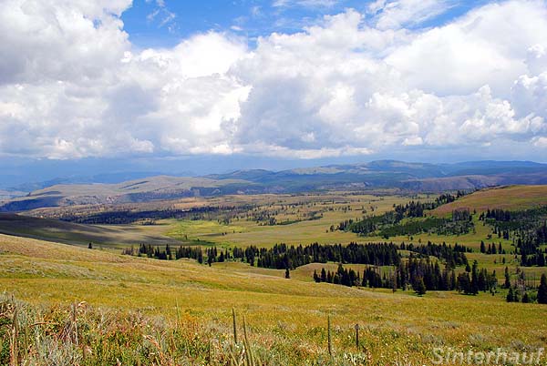 Der Yellowstone National Park in Wyoming