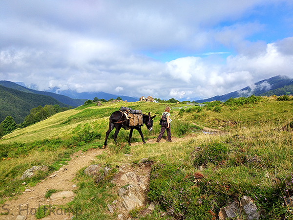 Eselwanderung in den Pyrenäen