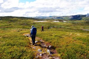 Wandern in der Hardangervidda