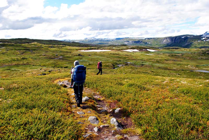 Wandern in der Hardangervidda