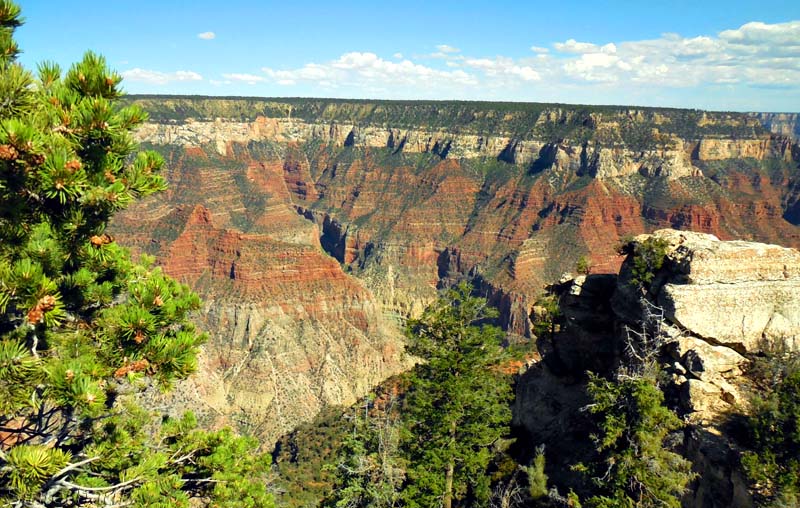 Der Grand Canyon North Rim