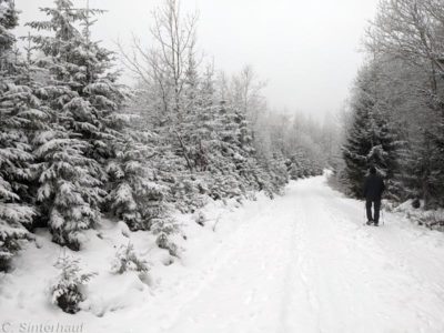 Winterwandern im Bayerischen Wald