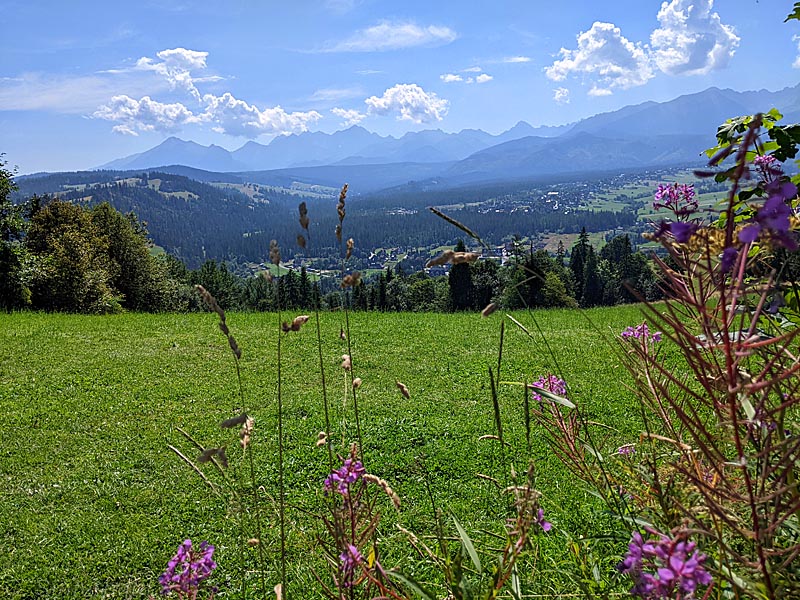 Blick auf die Hohe Tatra