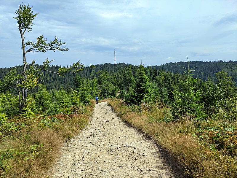 Auf dem Beskidenhauptwanderweg