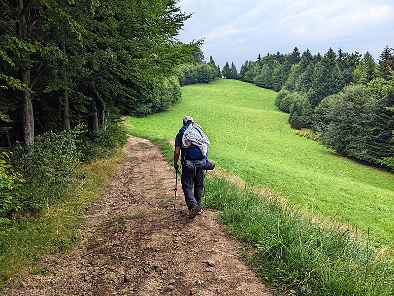 Wandern in Bärengebiet