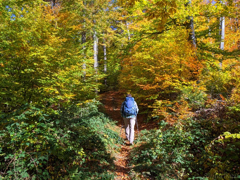 Unser erster Tag auf dem Goldsteig