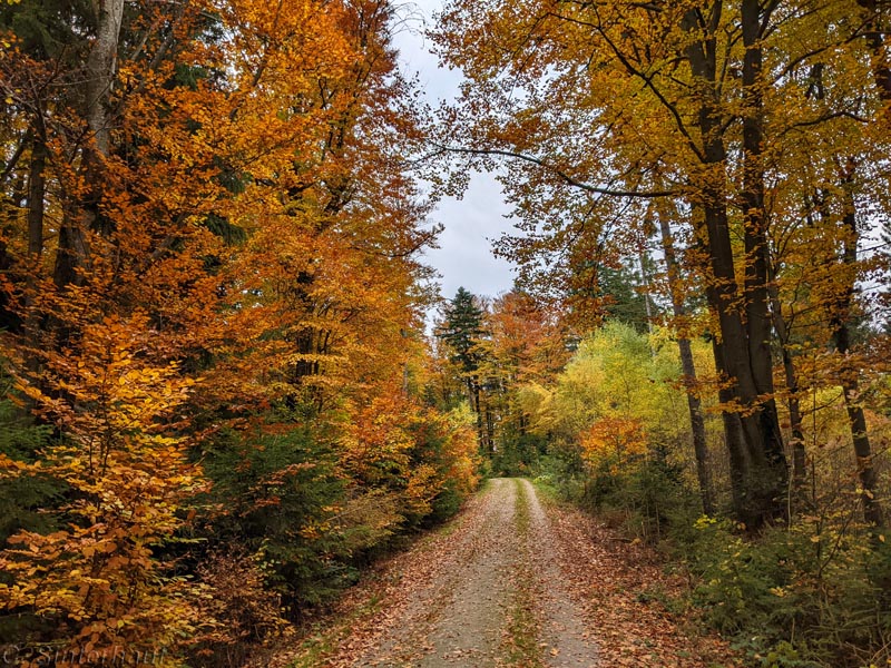 Herbstwandern ist immer wieder schön