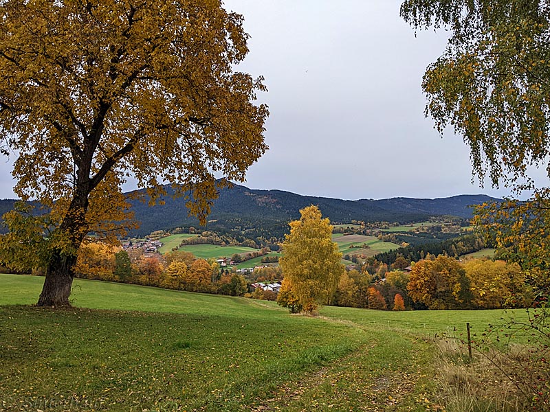 Der Abstieg vom Goldsteig nach Lam