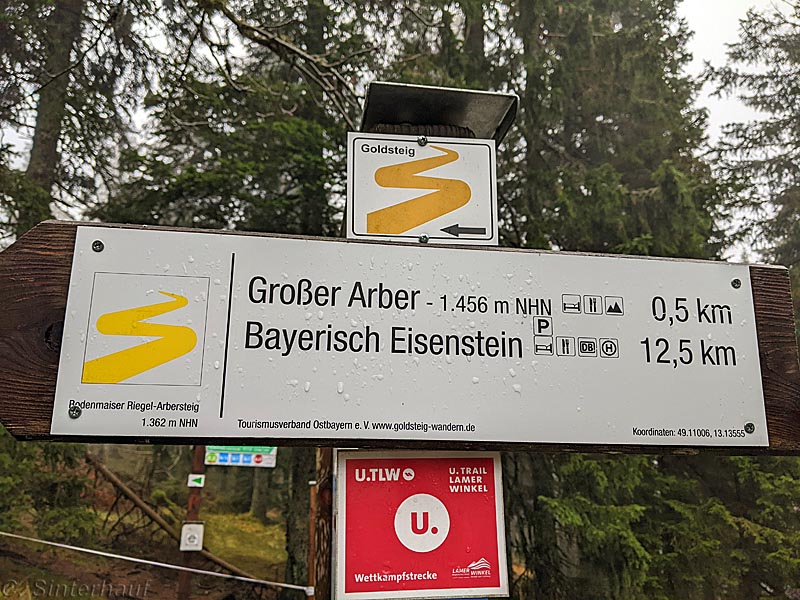 Hinauf zum Großen Arber