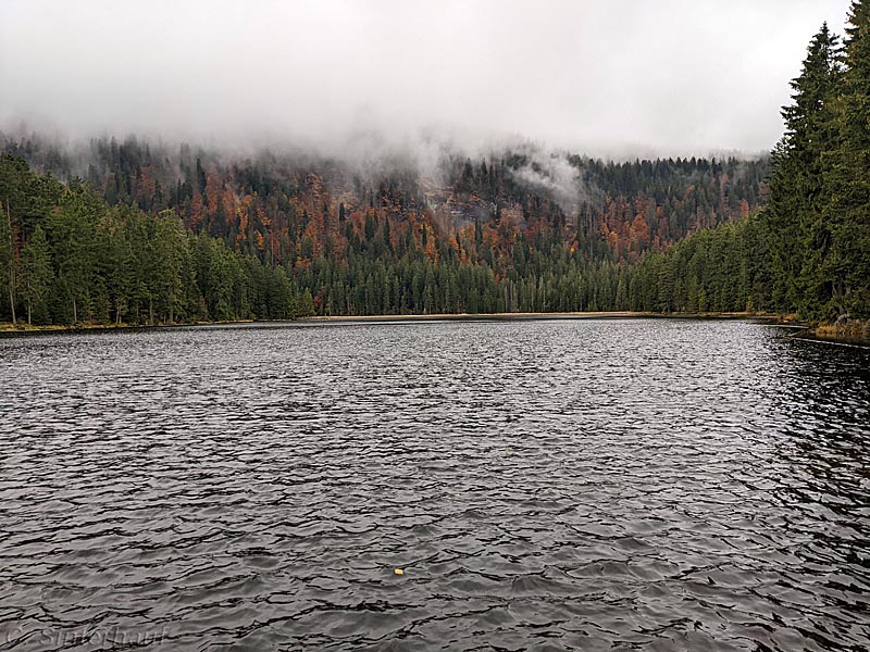 Der große Arbersee